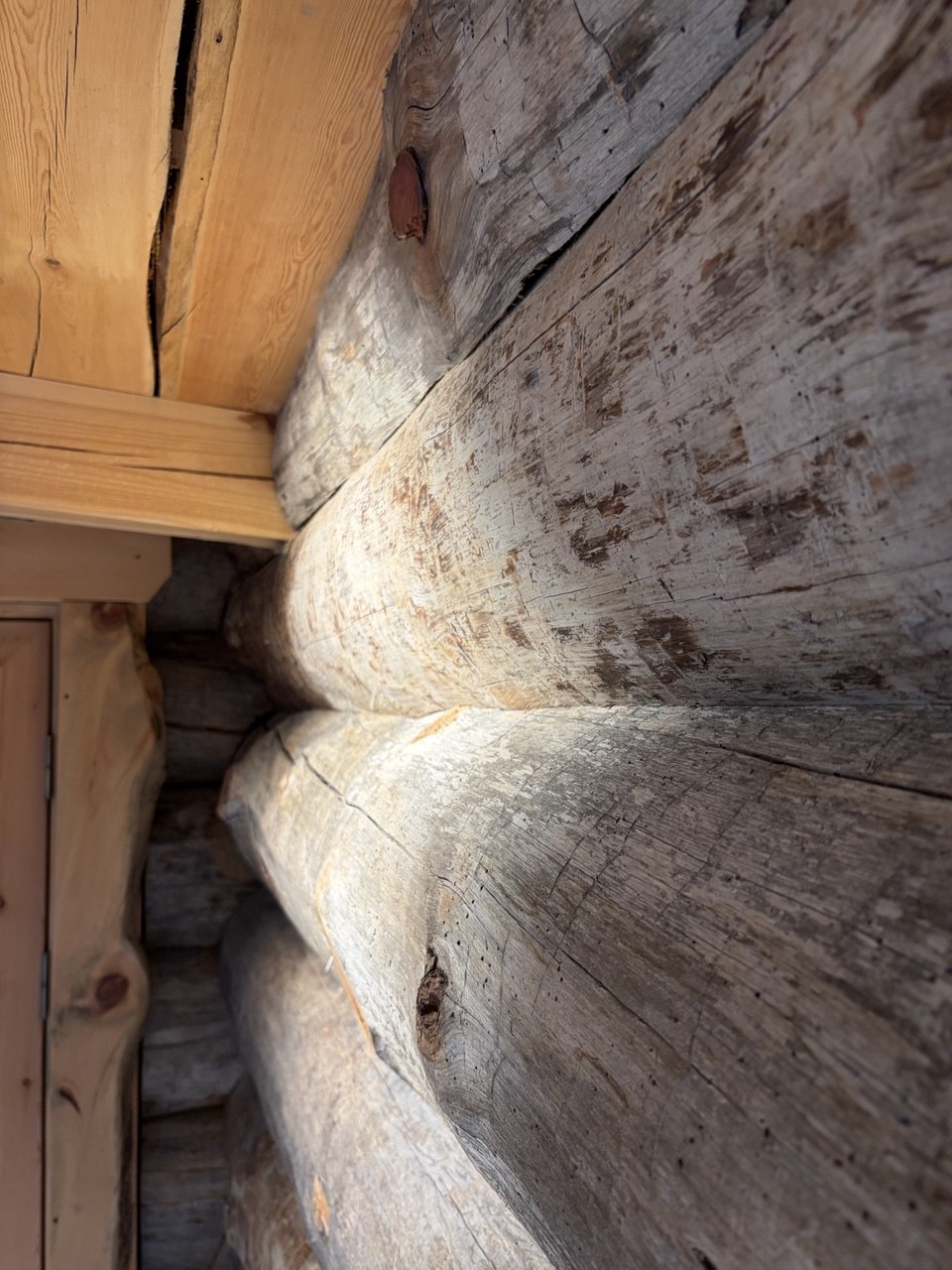 бревна кело в Савицких банях бревна кело в Савицких банях